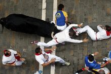 Pamplona, Fotogaleria, largada de touros, festas San Fermín