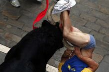 Pamplona, Fotogaleria, largada de touros, festas San Fermín