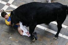 Pamplona, Fotogaleria, largada de touros, festas San Fermín