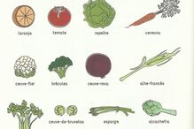 doença crónica, descomplicação, asma, imagens, problema, saúde, Sílvia Rocha, Descomplicar a Asma