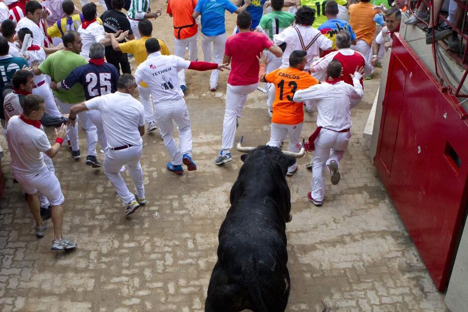 Pamplona, Fotogaleria, largada de touros, festas San Fermín