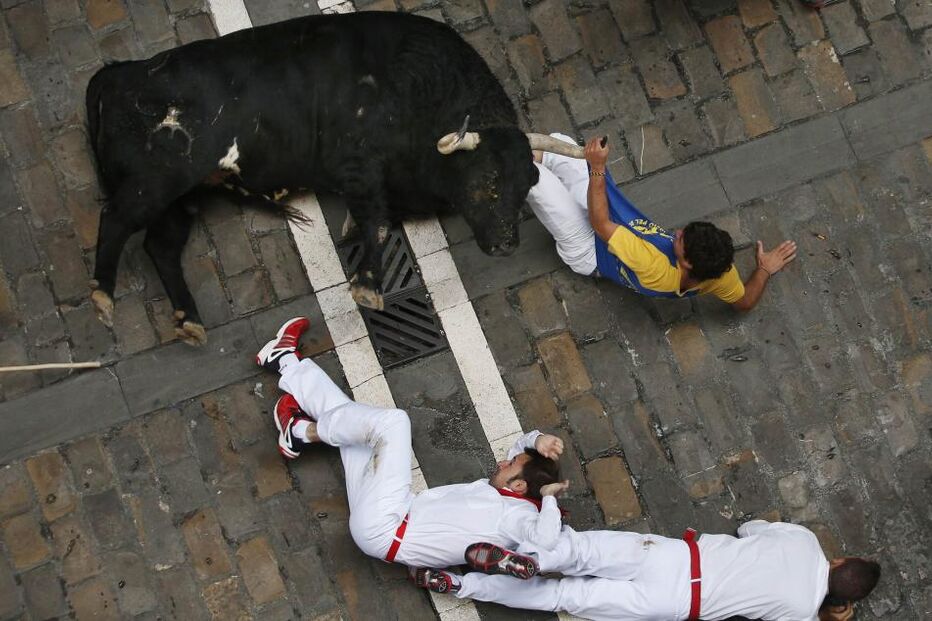 Pamplona, Fotogaleria, largada de touros, festas San Fermín