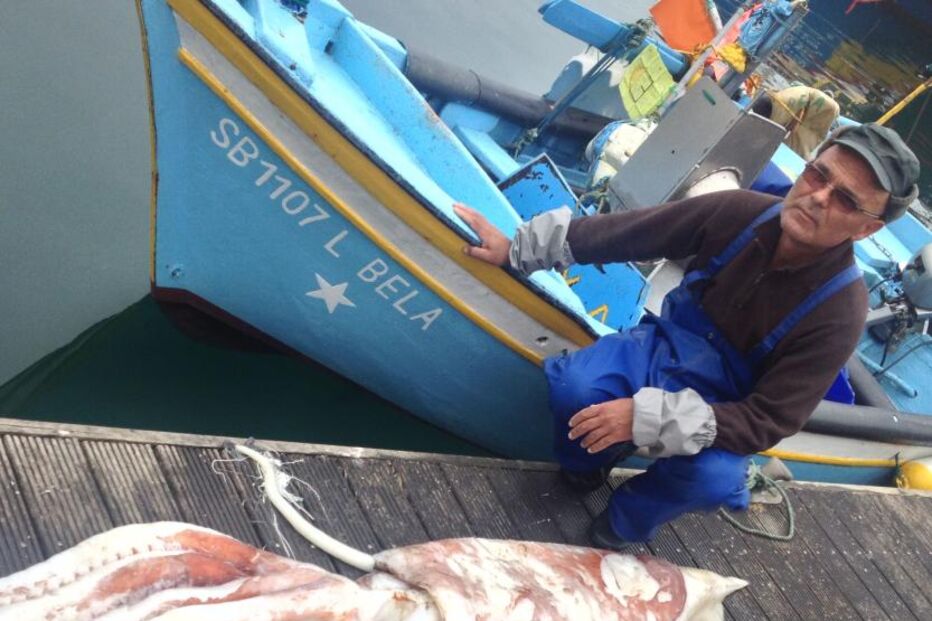 lula, gigante, sesimbra, 