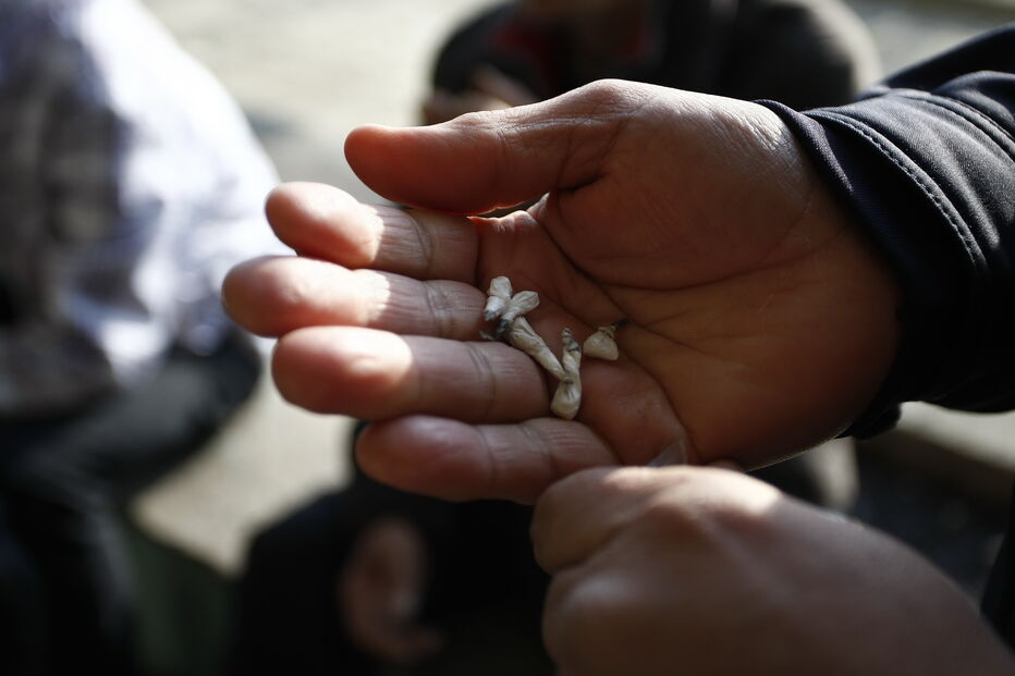 PORTO, DROGA, VENDA, FESTAS, 