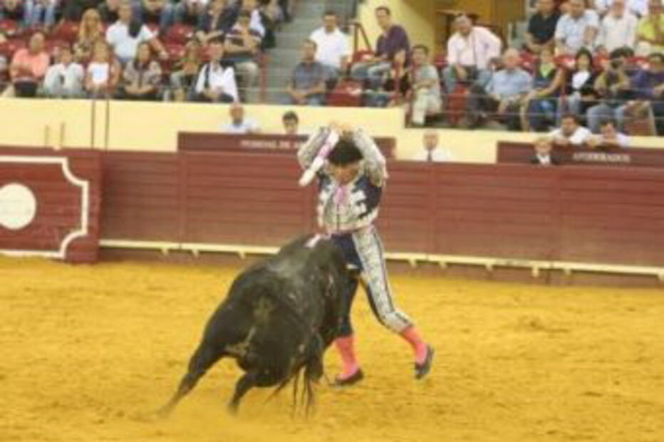 Protoiro, Viana do Castelo, tourada