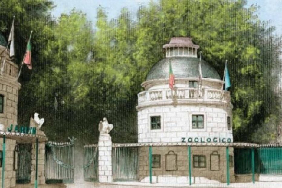 Cultura, Colecionismo, Jardim Zoológico, CTT