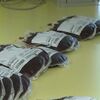 <![CDATA[ Sindicato pede investigação às condições de trabalho no centro de sangue do Porto ]]>