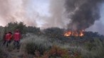 Incêndio da Serra da Estrela é o mais extenso desde Pedrógão Grande, em 2017