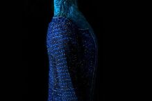 animais, roupa, moda, visual, fotografia, espanhol