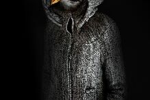 animais, roupa, moda, visual, fotografia, espanhol