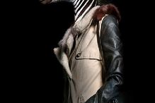 animais, roupa, moda, visual, fotografia, espanhol