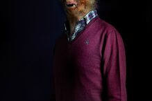 animais, roupa, moda, visual, fotografia, espanhol