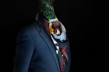 animais, roupa, moda, visual, fotografia, espanhol