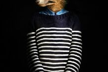 animais, roupa, moda, visual, fotografia, espanhol