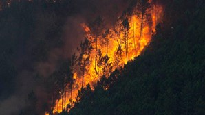 Já arderam dois mil hectares em Mondim de Basto