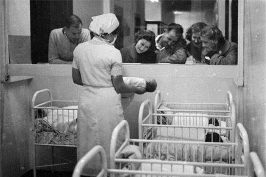 história, homem, 500 filhos, I Guerra Mundial, Derek, substituição, Helena Wright