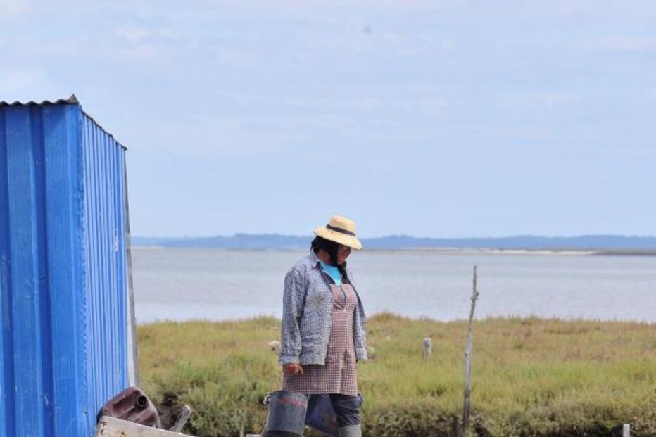Comporta, pobrezinhos, herdade, capa