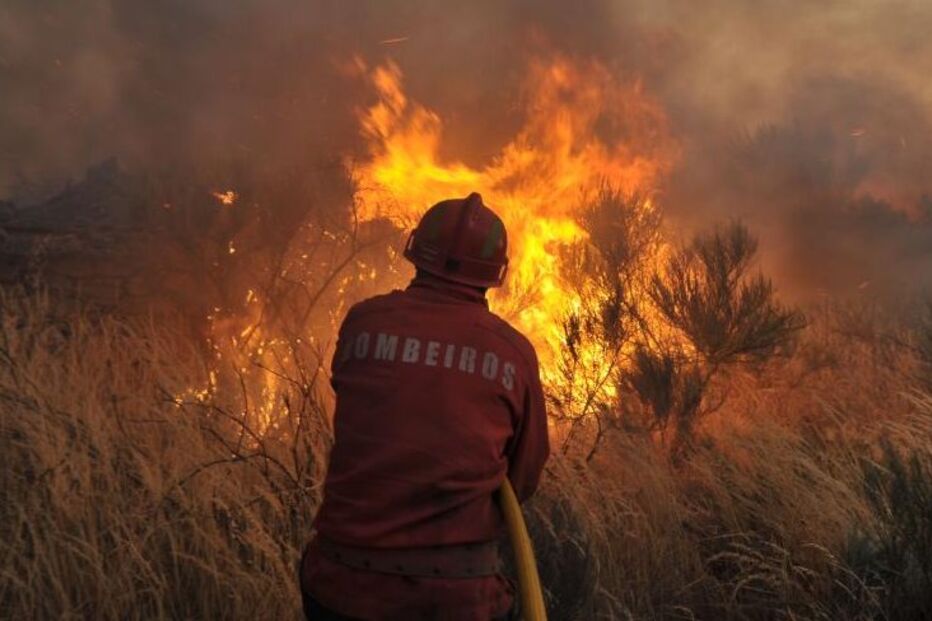 fogo, incêndio, chamas, funchal, madeira
