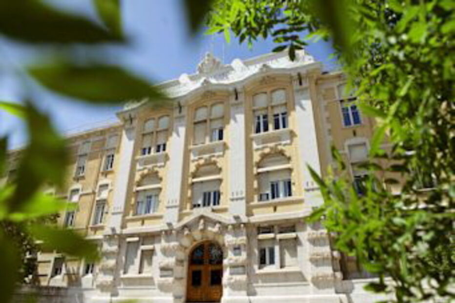 maternidade, alfredo da costa, bebés, partos, mortes