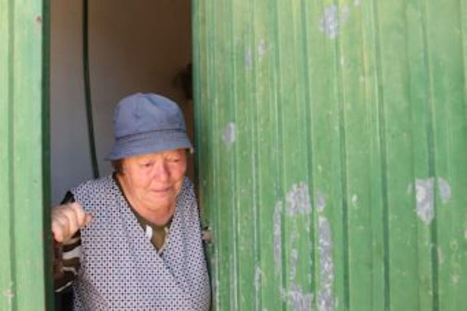 burla, sogra, psp, estarreja, edp