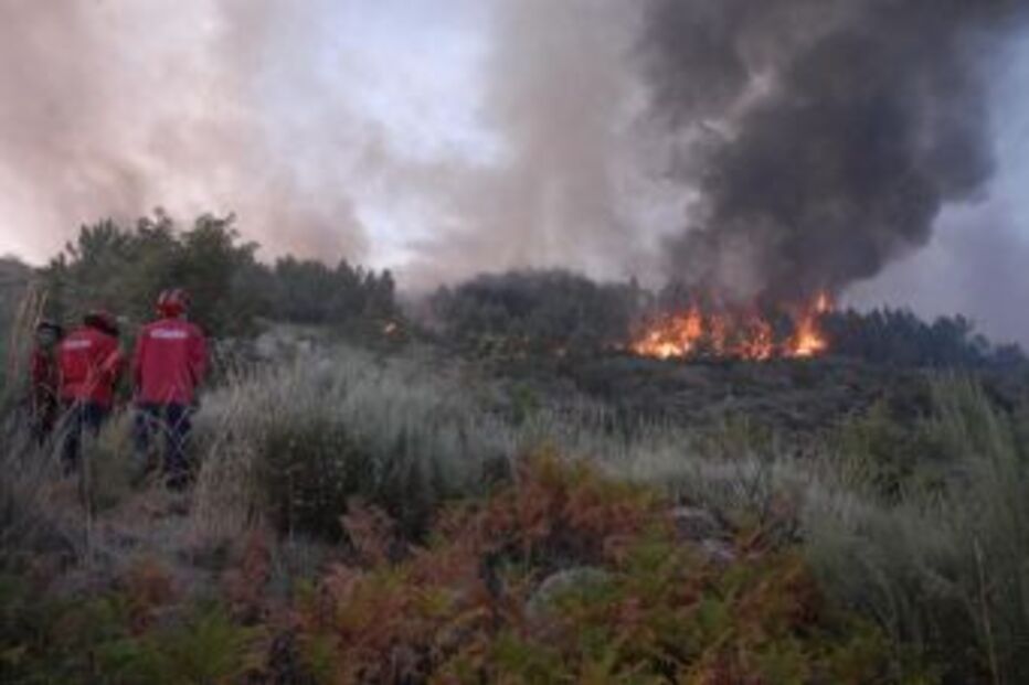Incêndio, Serra da Estrela, Covilhã, bombeiros