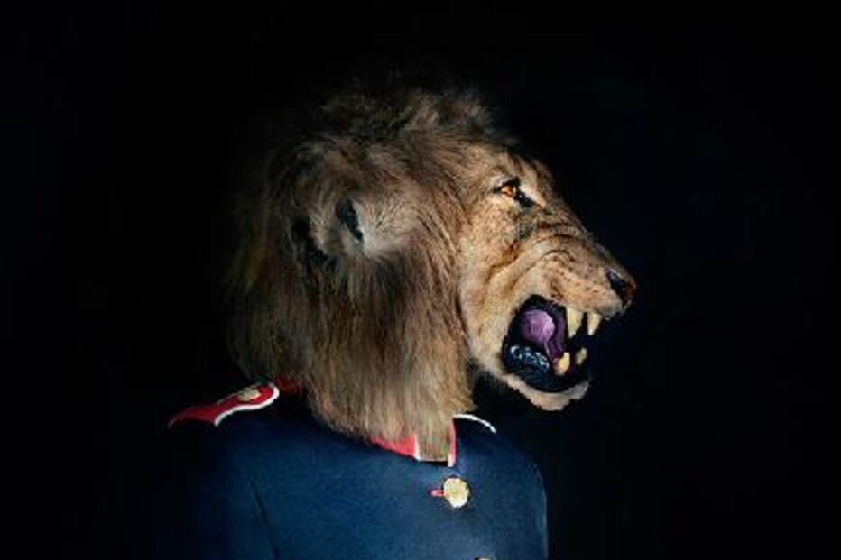 animais, roupa, moda, visual, fotografia, espanhol