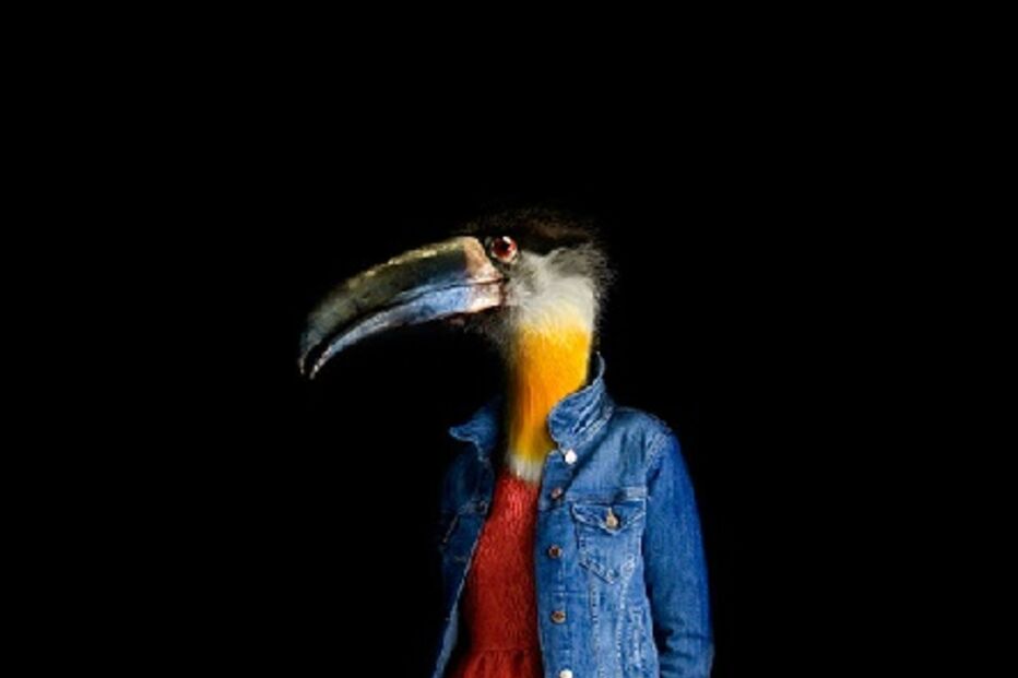 animais, roupa, moda, visual, fotografia, espanhol