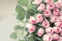 fobias, medos, insólitos, estranho