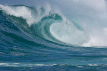 fobias, medos, insólitos, estranho