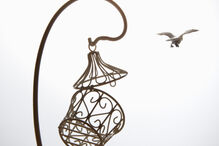 fobias, medos, insólitos, estranho