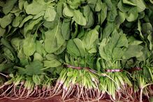 Alimentos, Visão, Doenças Oculares, Prevenção, Olhos 