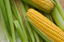 Alimentos, Visão, Doenças Oculares, Prevenção, Olhos 