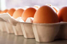 Alimentos, Visão, Doenças Oculares, Prevenção, Olhos 