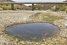 Quercus, ambiente, Nações UNidas, Europa, seca, rios, Portugal