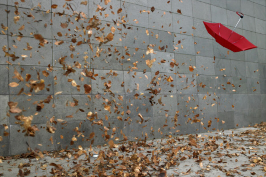 fobias, medos, insólitos, estranho