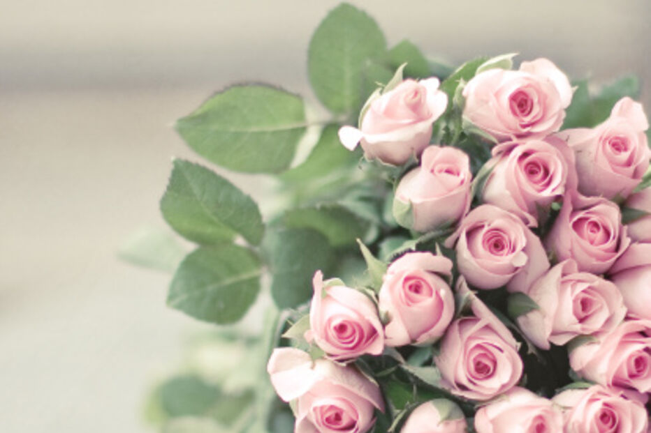 fobias, medos, insólitos, estranho