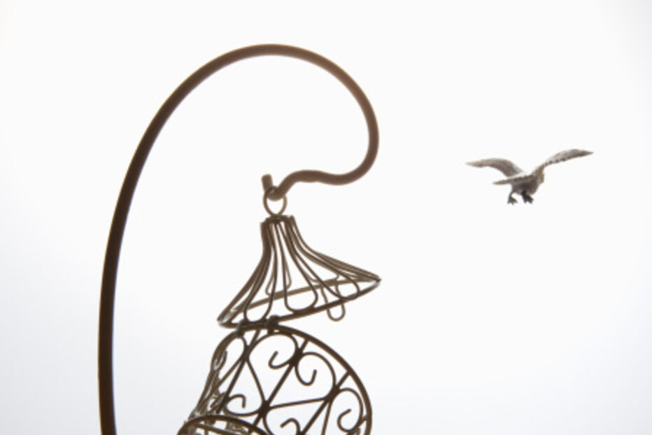 fobias, medos, insólitos, estranho