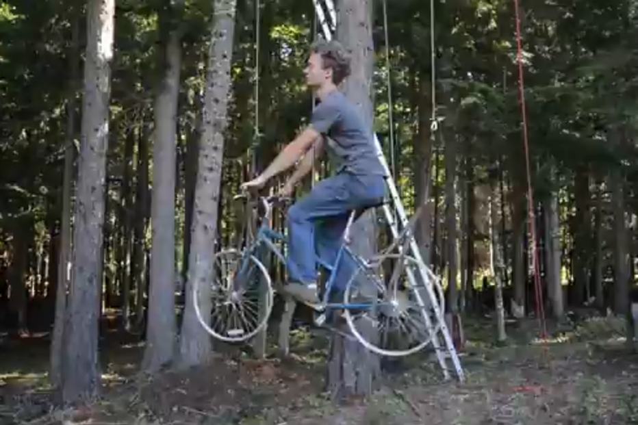 árvore, elevador, casa de arvore, Idaho, EUA