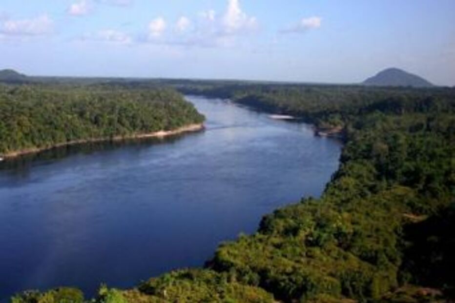 rodónia, amazónia, desflorestação, índios, lucro
