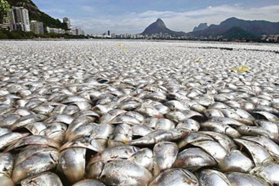 alterações climáticas, cientistas, aquecimento global, 2002, ambiente