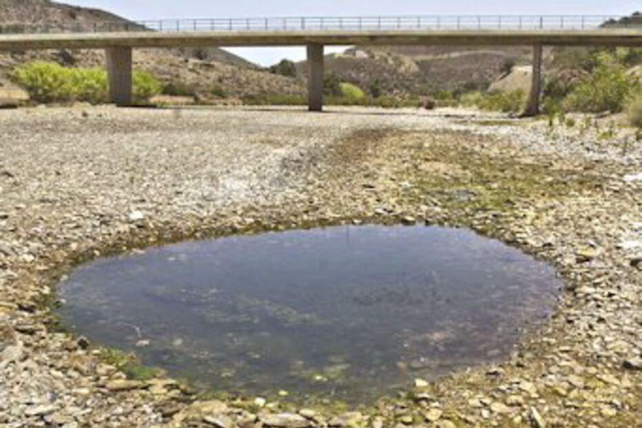 Quercus, ambiente, Nações UNidas, Europa, seca, rios, Portugal