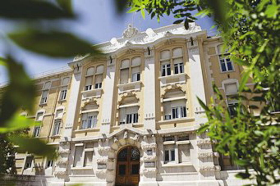 maternidade, alfredo da costa, parecer, grávidas