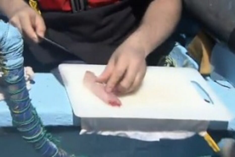 cmtv, Prato da Casa, gastronomia, sashimi, bodião, sushiman