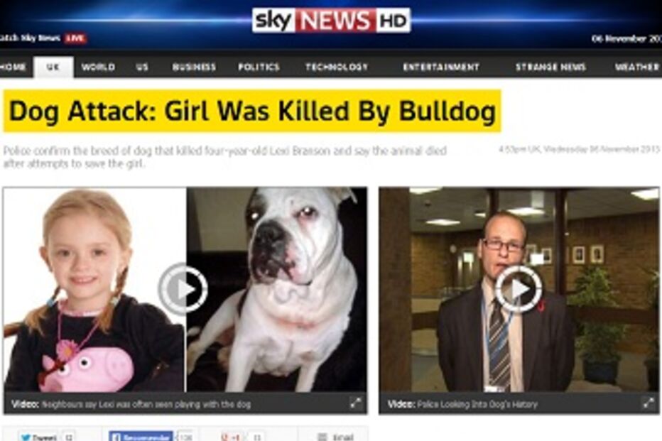 ataque, morte, cão, bulldog, reino unido