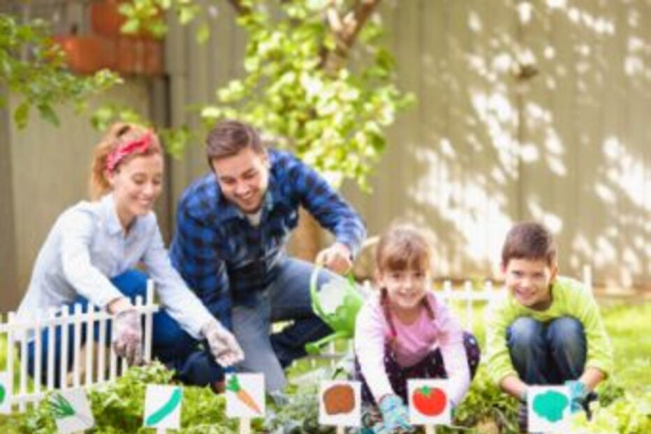 crianças, fim-de-semana, jogos, lazer