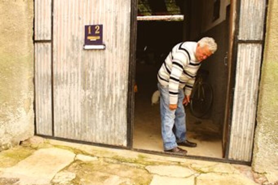 Águeda, Abílio Roque, Hospital de Aveiro, caçador, tiro, disparo