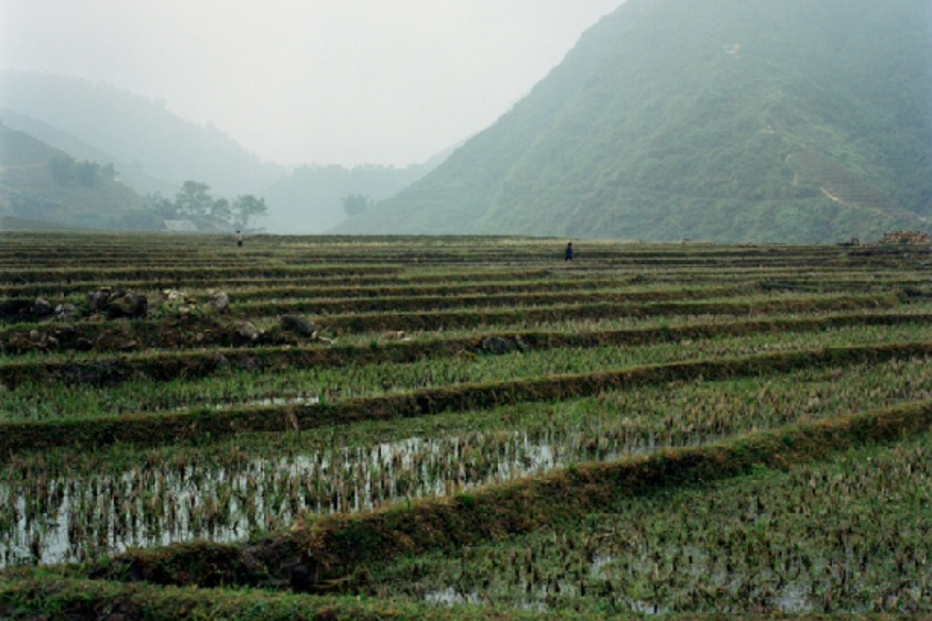 Cultura, Fotografia, Exposições, 'Viêt Nam', Alexandre Almeida, Restaurante Brac