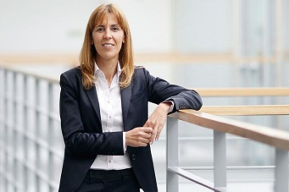 Ordem dos Advogados, Elina Fraga, Justiça, bastonária, Governo