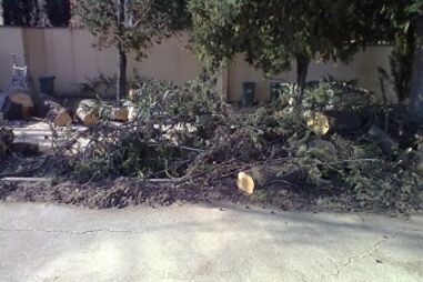 porto, gondomar, matosinhos, mau tempo, queda, árvores, habitações, desalojados