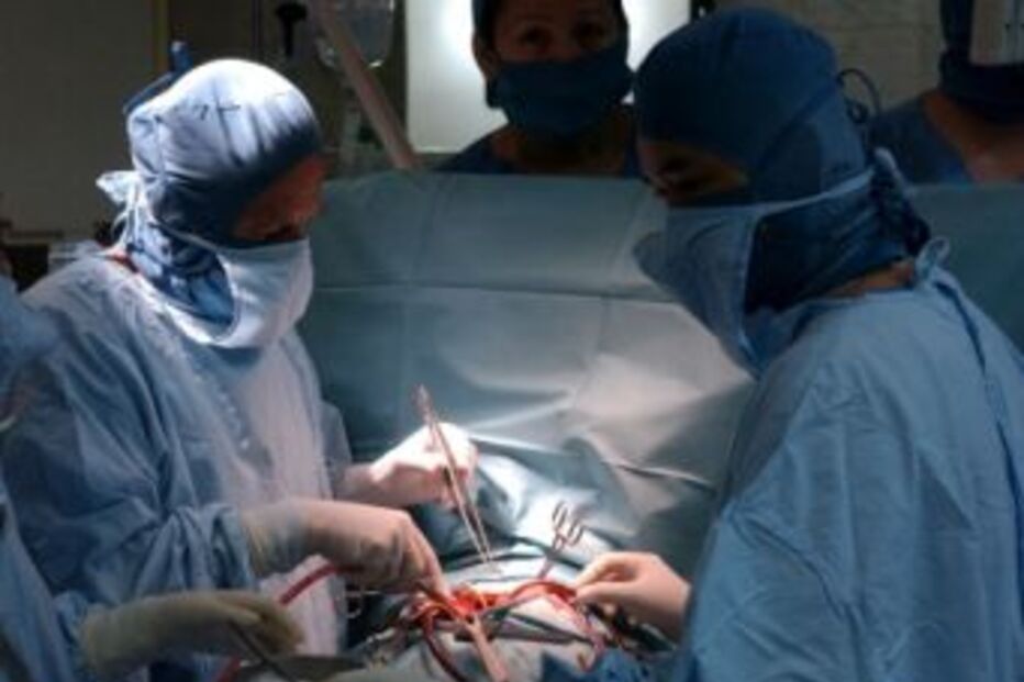 Coração, prótese, Alain Carpentier, Carmat 